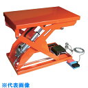TRUSCO テーブルリフト 70kg 倍速タイプ 電動Bねじ式 200V 400×720mm (品番:HDL-L0747RT-22)(注番3800759)・(...