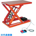 TRUSCO テーブルリフト500kg(電動Bねじ200V)650×950mm (品番:HDL-L5069V-22)(注番3821276)・(法人・事業所限定,...