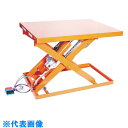 TRUSCO テーブルリフト500kg(電動BねじDC24V)500×800mm (品番:HDL-L5058V-D2)(注番3821286)・(法人・事業所限定...