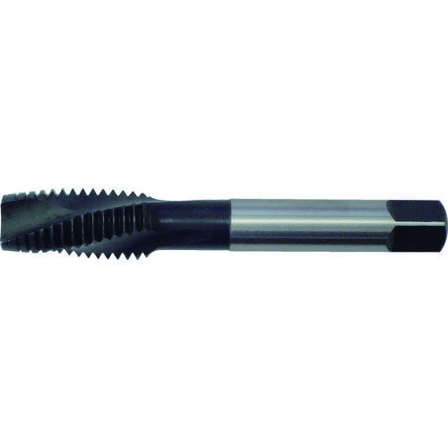 ISåȥåסʥݥȥåסˡåȤͤ716W14 :JET-7/16W14ˡ3850587