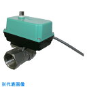 大和バルブ 電動ボールバルブ (レデュースボア 10K SCS14A 2方 AC100V)20A (品番:E-SUSR-20A-AC100V)(注番388669...