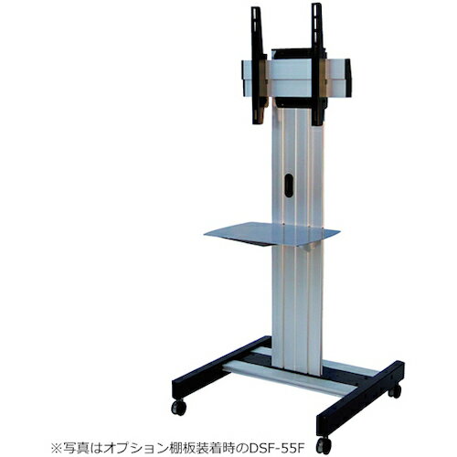 OSǥץ쥤 :DSF-55Fˡ3919568