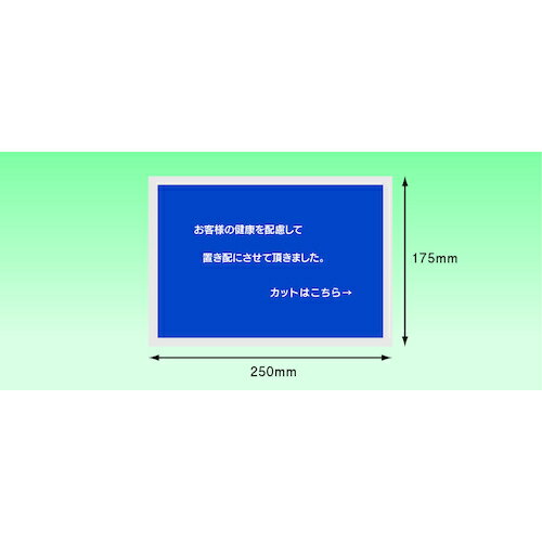 パピルス　置配用デリバリーパック　完全密封タイプ （A5サイズ用） 《10Pk入》 （品番:PA623）（注番3967594×10）・（法人・事業所限定,直送元）