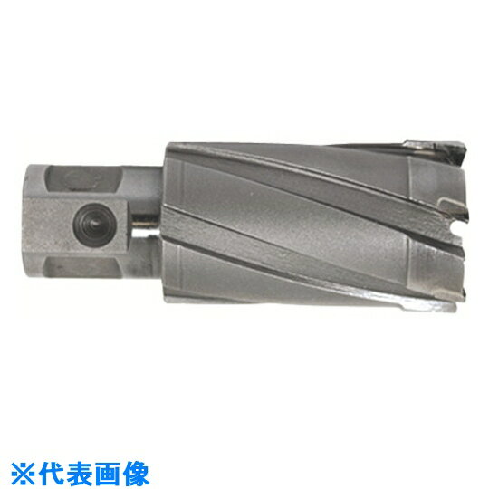 育良　ライトボーラー用替刃（超硬刃）（51021） （品番:CCSQ250）（注番3969134）