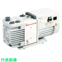 Edwards ロータリーポンプRV5 単相100・200V 出荷時200V設定 (品番:A65301904)(注番4194845)・(送料別途見積り,法人・事業所限定)【大型】(4)