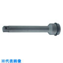 TRUSCO インパクト用エクステンションバー(凹凸19.0)L100mm (品番:TEX6-100)(注番4199791)