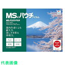 MS パウチフィルム MP10-220307 (100枚入) (品番:MP10-220307)(注番4314921)