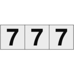 TRUSCOƥå30307סƩϡʸ3 :TSN-30-7-TMˡ4388275