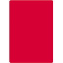 共栄プラスチック 色透明下敷 A4 レッド (品番:NO.1377-R)(注番4607057)