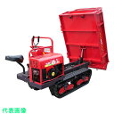 CANYCOM 歩行・乗用クローラ運搬車“北国の春…お” (品番:BK66TDPS)(注番4680206)・(送料別途見積り,法人・事業所限定)【大型】