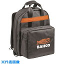BAHCO リュックサック 幅330×奥行210×高さ450mm (品番:3875-BP2)(注番4708881)