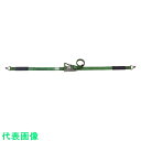 allsafe ベルト荷締機 ラチェット式ナローフック仕様(重荷重) (品番:R5N17)(注番4795300)