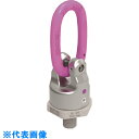 RUD パワーポイントスター マスターリンクセット PP-B M36 (品番:PP-B-M36)(注番4874404)