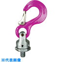 RUD パワーポイントスター コブラフックセット PP-S M36 (品番:PP-S-M36)(注番4874463)