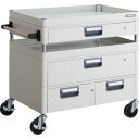 TRUSCO ツールワゴン フェニックスワゴン 抗菌 省音 750X500XH740 引出付 ホワイト (品番:PEW-772VWZ-W)(注番4883462)...