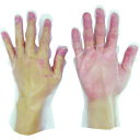 テイジン ポリエチレンぴったり手袋 Lサイズ (100枚入) (品番:PE-01C2-L)(注番4932439)