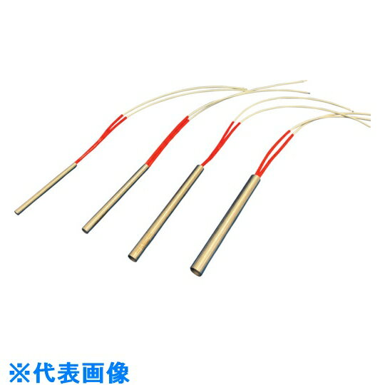 硡ȥåҡ1250100V100W :CHE1101ˡ5140529ˡӸѤ,ˡ͡Ƚ...