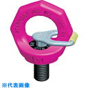 RUD スターポイント VRS M33 (品番:VRS-M33)(注番5218379)・(送料別途見積り,法人・事業所限定,取寄)