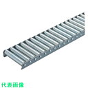 タイヨー 小径切削ホイールコンベヤ 20φX巾100mmXP30X機長1000mm (品番:TWM20100KLP301000L)(注番5229373)・(法人...