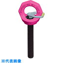 RUD スターポイントロングボルトタイプVRS-M24L (品番:VRS-M24L)(注番5536097)・(法人・事業所限定,直送元)