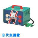 NICHIDO 昇圧専用トランス 標準型(連続定格) 3KVA 3芯タイプ アース付 (品番:M-E30)(注番7306725)