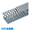 PANDUIT Dタイプ配線ダクト(PVC製鉛フリー)ライトグレー32.0×103.6×1830 6FT(フィート) 1本 《10本入》(品番:D1X4LG6)...