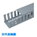 PANDUIT Gタイプ配線ダクト(PVC製鉛フリー)ライトグレー 32.0×54.1×1830 6FT(フィート) 1本 (品番:G1X2LG6)(注番7312849)・(送料別途見積り,法人・事業所限定)【大型】(4)