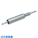 ボッシュ 振動コア セット 80mm (品番:PSI-080SDS)(注番7335202)・(送料別途見積り,法人・事業所限定,取寄)