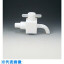 フロンケミカル フッ素樹脂(PTFE)ドレンコック R1/2 (品番:NR1001-003)(注番7349491)・(送料別途見積り,法人・事業所限定,取寄)
