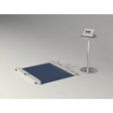 TANITA 【業務用】業務用車いす用体重計 PW‐650A (RS付き)※販売には届出必要 (品番:PW-650ARS)(注番7658681)・(法人・事業所限定,直送元)(4)