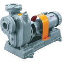 TERADA セルプラポンプ 鋳鉄製グランド式 60Hz 22kW 全揚程15m モーター付 (品番:O-10E-60HZ-WM)(注番7756810)・(法人...