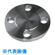 イノック　面座付ブラインドフランジ　10K40A （品番:304BDRF10K40A）（注番8064