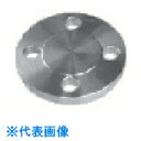 イノック 面座付ブラインドフランジ 10K100A (品番:316BDRF10K100A)(注番8064859)・(送料別途見積り,法人・事業所限定,取寄)