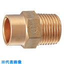 カクダイ 銅管用外ネジアダプター (品番:6419-20X22.22)(注番8077969)・(送料別途見積り,法人・事業所限定,取寄)