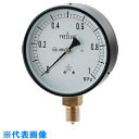 カクダイ 蒸気用圧力計(一般用・Aタイプ) (品番:649-873-04C)