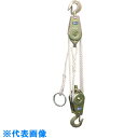 HHH ロープホイスト 250kg 揚程3m (品番:RH250)(注番8087465)