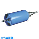 ボッシュ ガルバウッドSDSセット60mm (品番:PGW-060SDS)(注番8107755)・(送料別途見積り,法人・事業所限定,取寄)