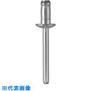 POP 構造体用ハイストレングスリベットφ6.4(鉄+鉄) (1000本入) (品番:SD868HS)(注番8109028)・(送料別途見積り,法人・事業所限定...