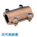TBC 補修バンド25mm (品番:25PR-PEVPGP)(注番8127775)