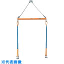 スーパー 2点吊用天秤 容量:600kg スパン長:2000mm (品番:PSB620)(注番8130802)・(送料別途見積り,法人・事業所限定)【大型】