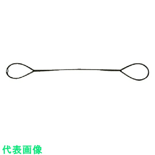 ニッコウ　台付けワイヤー　スリング径12mm　全長2m 《10本入》（品番:D12-2）（注番8157611×10]・（送料別途見積り,法人・事業所限定,取寄）