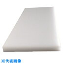 サンヨー 業務用まな板20LL (品番:20LL)(注番8163605)・(送料別途見積り,法人・事業所限定,取寄)
