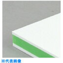 サンヨー カラー抗菌業務用まな板 CKG-20S (品番:CKG-20S)(注番8163623)・(送料別途見積り,法人・事業所限定,取寄)