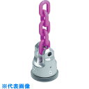 RUD 溶接式パワーポイント WPP VIP10 4t (品番:WPP-VIP10-4T)(注番8195520)・(法人・事業所限定,直送元)