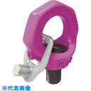 RUD スターポイントインチサイズ VRS-F-3/8-16UNC (品番:VRS-F-3/8-16UNC)(注番8195636)