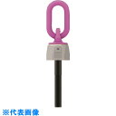 RUD バリオリングロングボルトタイプ VWBG M10L (品番:VWBG-M10L)(注番8195648)・(送料別途見積り,法人・事業所限定,直送)