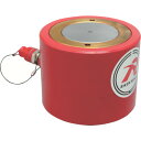 RIKEN 単動式油圧シリンダー インチねじ ストローク125mm VCカプラ付 (品番:S3-125VC)(注番8199908)・(送料別途見積り,法人・事業...
