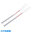 AS カートリッジヒーター CB106 (品番:2-8262-20)(注番8212455)・(送料別途見積り,法人・事業所限定,取寄)