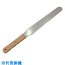 AS 軟膏ヘラ10インチ40×255 (品番:6-528-06)(注番8216099)・(送料別途見積り,法人・事業所限定,取寄)