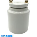 AS 磁製ボールミル120mm (品番:6-552-02)(注番8216189)・(送料別途見積り,法人・事業所限定,取寄)